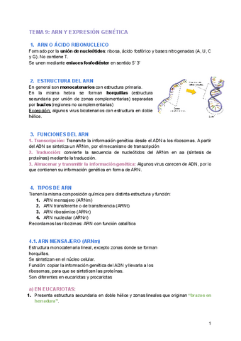 TEMA-9-ARN-Y-EXPRESION-GENETICA.pdf