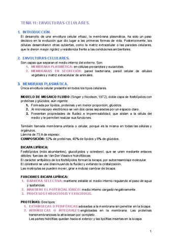 TEMA-11-ENVOLTURAS-CELULARES.pdf