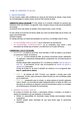 TEMA-14-DIVISION-CELULAR.pdf