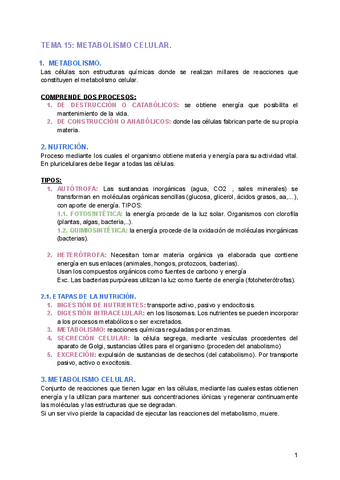 TEMA-15-METABOLISMO-CELULAR.pdf