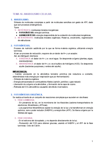 TEMA-16-ANABOLISMO-CELULAR.pdf