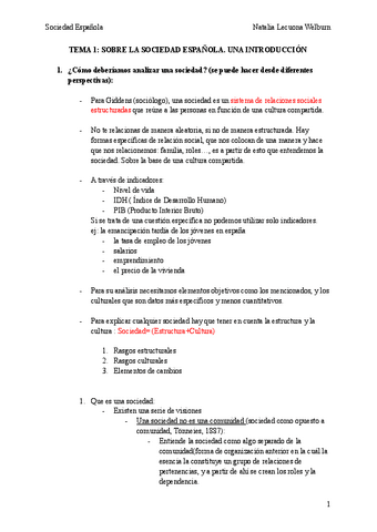Tema-1-Sociedad-Espanola.pdf