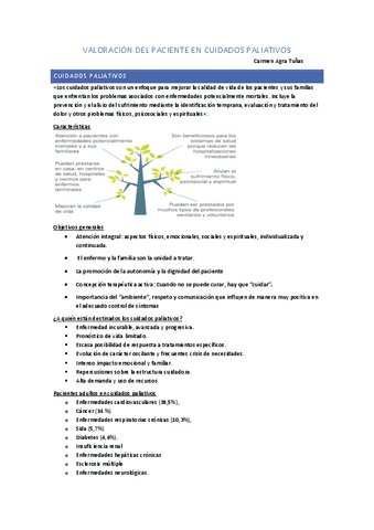 Valoracion-en-Cuidados-Paliativos.pdf
