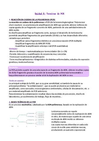 T6-Tecnicas-de-PCR.pdf