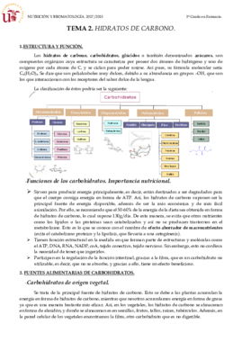 TEMA 2 HIDRATOS DE CARBONO.pdf