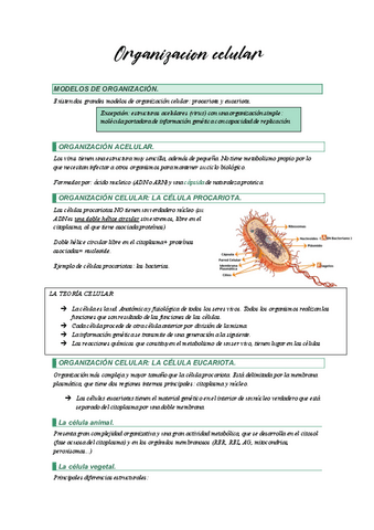 Biologia-tema-6-hasta-dominios-membrana.pdf
