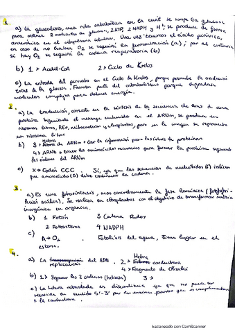 EJERCICIOS-METABOLISMO.pdf