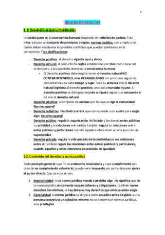Apuntes-Derecho-Civil-URJC.pdf