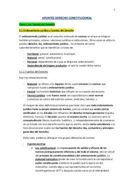 Apuntes-Derecho-Constitucional-URJC-r.pdf