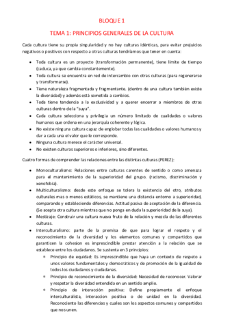 RESUMENCILLO.pdf