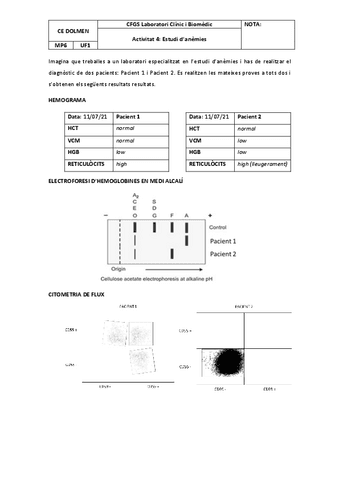 2349-20220113-exercici-ACTIVITAT-4-Diagnostic-danemies.pdf