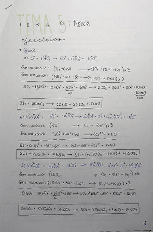 ResueltosRedox.pdf