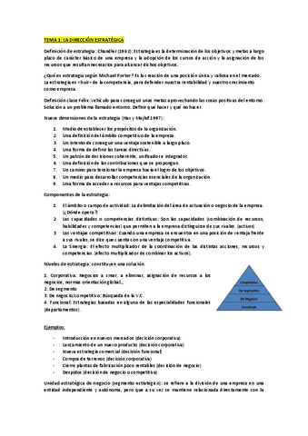 RESUMEN-DIR.-ESTRATEGICA.pdf