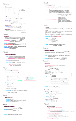 examen-historia.pdf