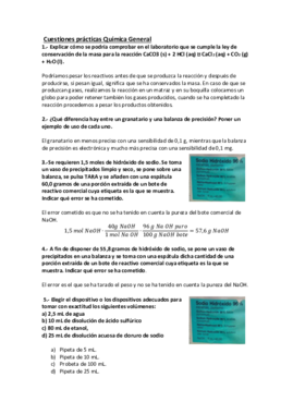 Preguntas laboratorio química.pdf