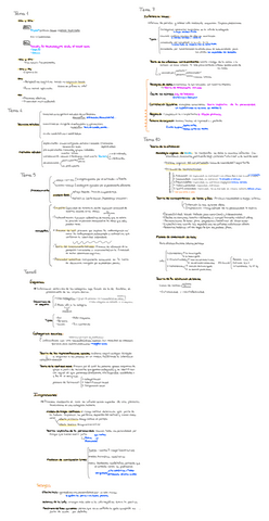 resumen-social-i.pdf