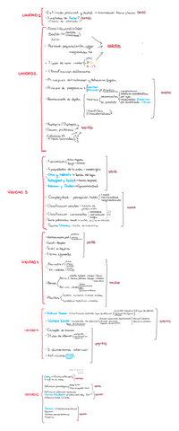 Posibles-preguntas.pdf
