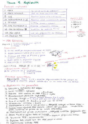 Apuntes-Bioquimica-ADN-y-Metabolismo.pdf
