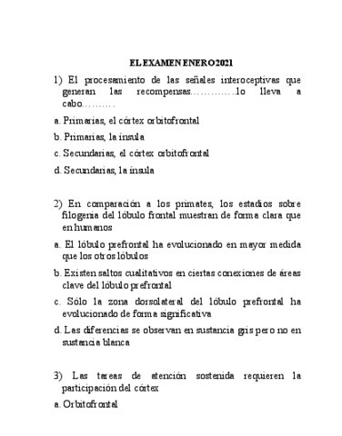 examen-enero-2021.pdf