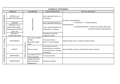 Miniatura del documento Gland Suprarenal.pdf