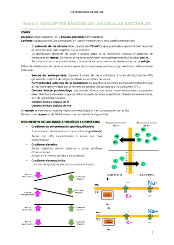 III.-Fisiologia-neuronal.pdf