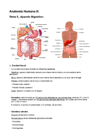 5-Aparato-Digestivo.pdf