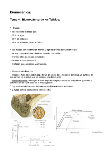 4-Biomecanica-de-los-Tejidos.pdf