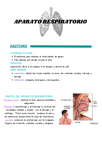 SISTEMA RESPIRATORIO resumen pdf - Thumbnail 