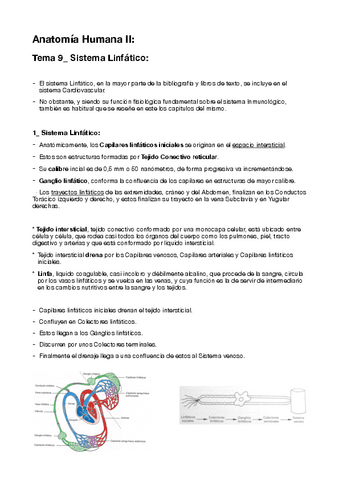 9-Sistema-Linfatico.pdf