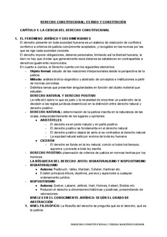 CAPITULO-1.pdf