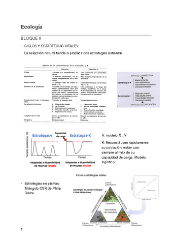 Bloques-123-Ecologia.pdf