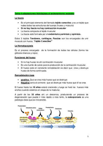 Temario completo + practicas de prescripción.pdf