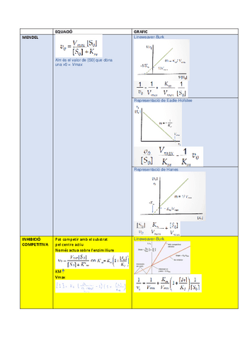 equacions-enzimo.pdf