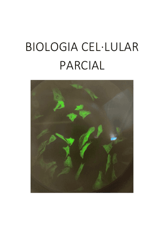 TOT-biocel-igonorar-portada.pdf