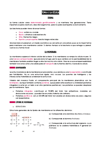 Tema-4-Microbiologia.pdf