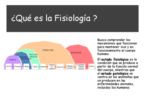 1.-INTRODUCCION-FISIOLOGIA.pdf