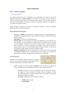 GESTIÓ I PLANIFICACIÓ.pdf