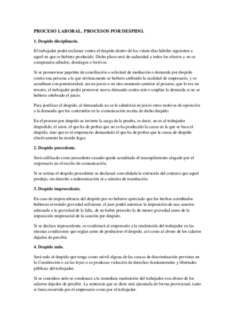 PROCESO-LABORAL.-PROCESOS-POR-DESPIDO.pdf