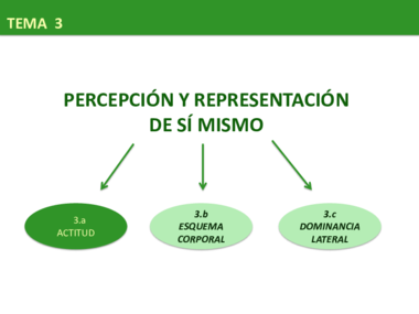 marisa TEMA 3a - actitud.pdf