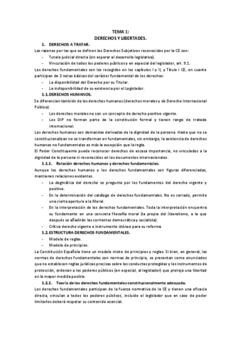 TEMARIO-COMPLETO-DERECHO-CONSTITUCIONAL.pdf