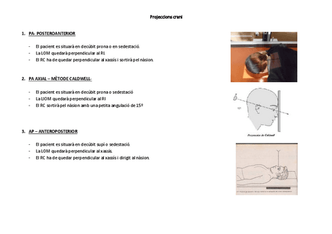 Projeccions-crani-apunts-2.pdf