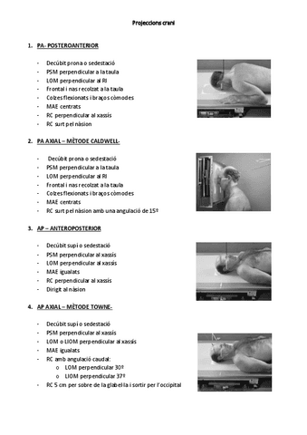 Projeccions-crani-apunts-1.pdf