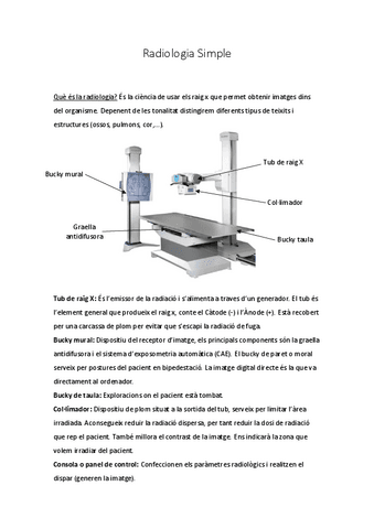 Radiologia-Simple-apunts.pdf