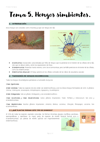 Tema-5.-Hongos-simbiontes..pdf