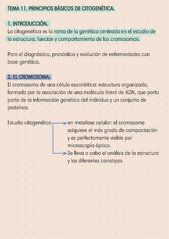 RESUMEN-EXAMEN-TEMAS-11-Y-12-CITOGENETICA.pdf