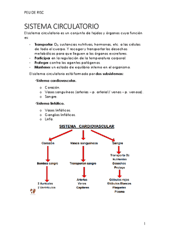 Peu-de-risc-1-Sistema-Circulatorio.pdf