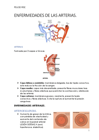 Peu-de-risc-3-Enfermedades-de-las-Arterias.pdf