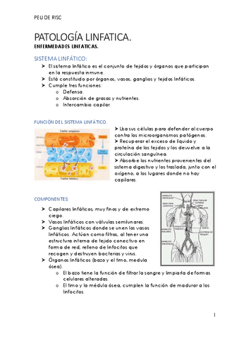 Peu-de-risc-4-Patologia-Linfatica.pdf