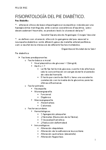 Peu-de-risc-7-Fisiopatologia-del-Pie-Diabetico.pdf