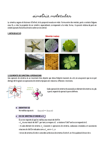 TEMA-2SIMETRIA-MOLECULAR.pdf